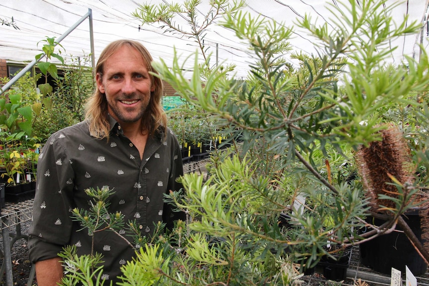 A smiling man stands behind a banksia tree.