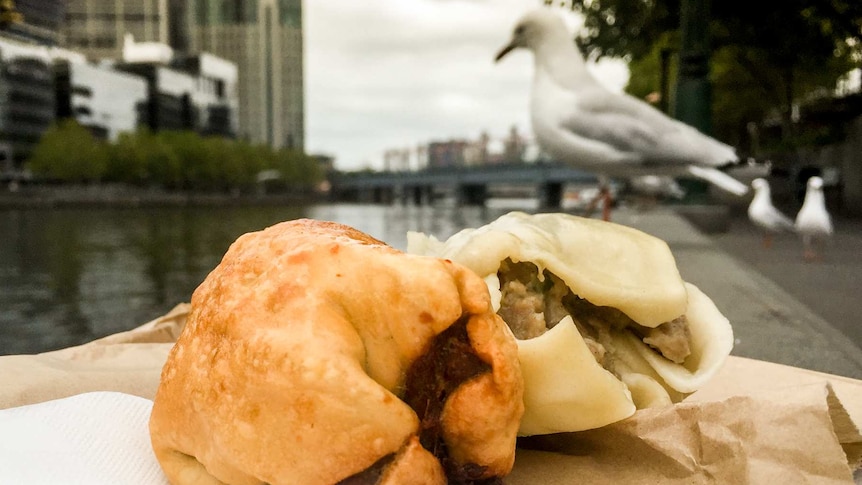 Fried and steamed dim sims sit on a paper bag, seagulls in background