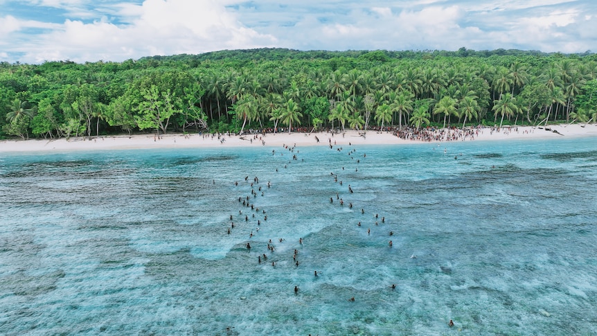 A drone shot of people on an island 