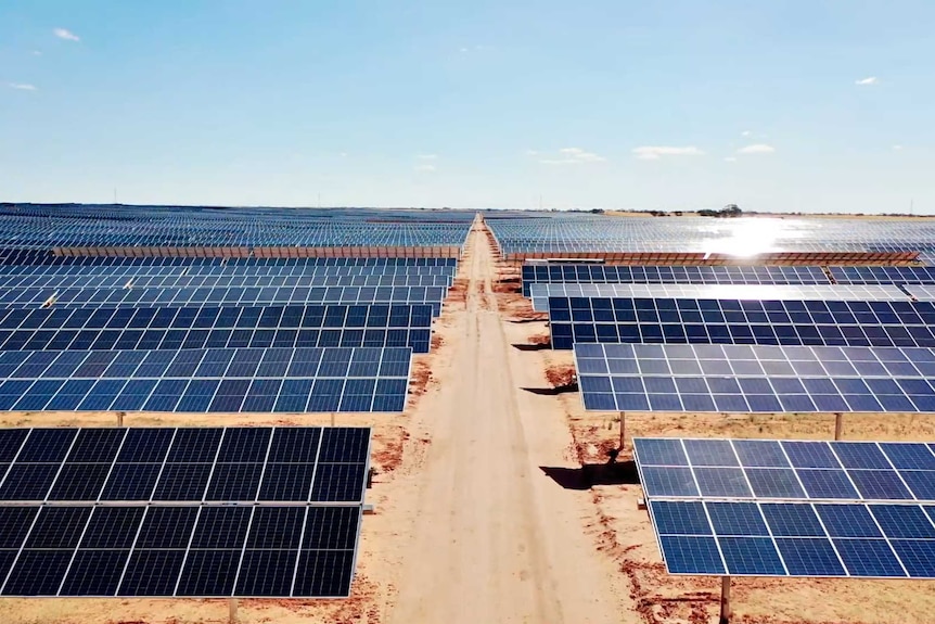 Aerial view of a solar farm.