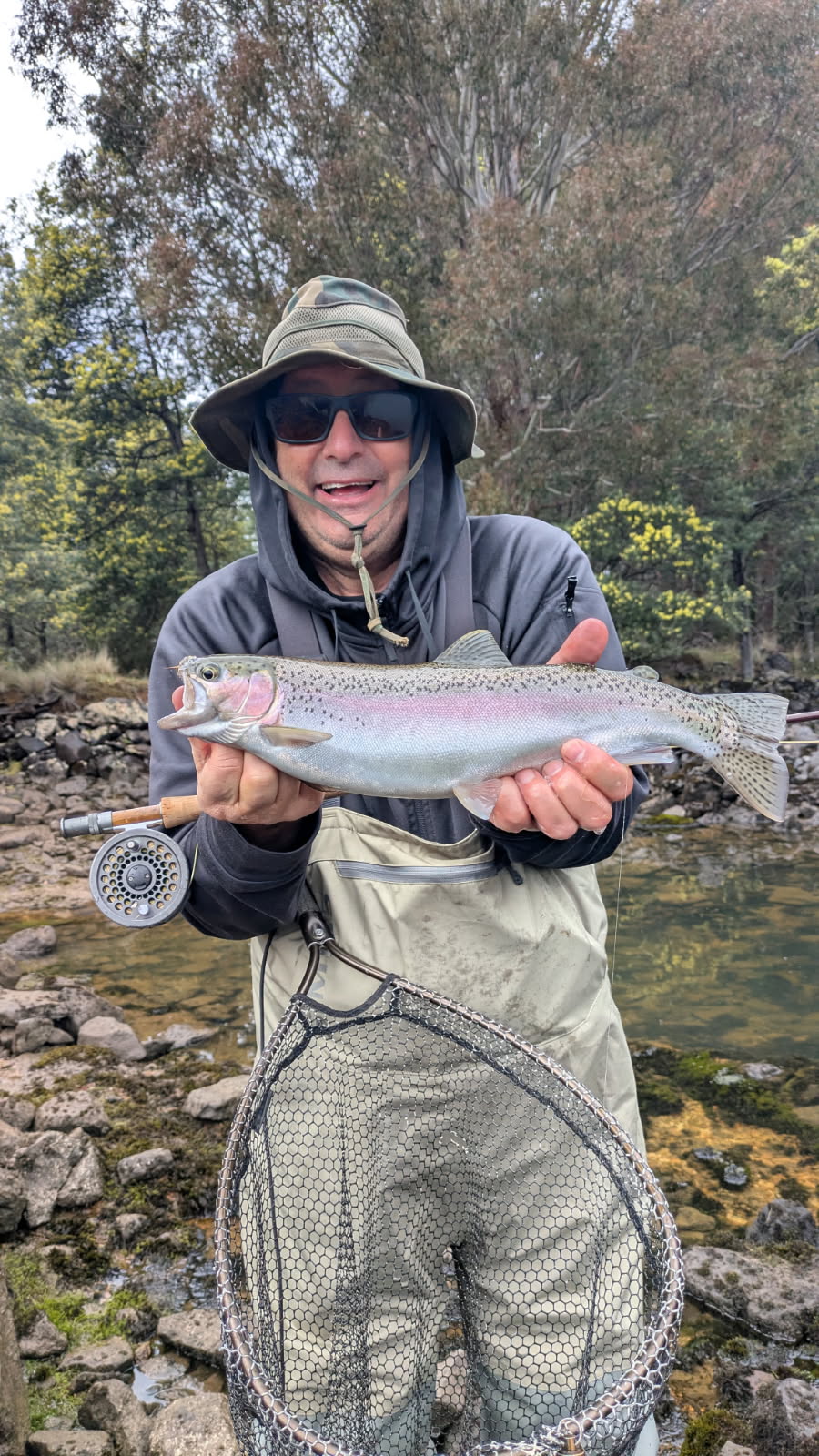 The Big Fish - ABC listen