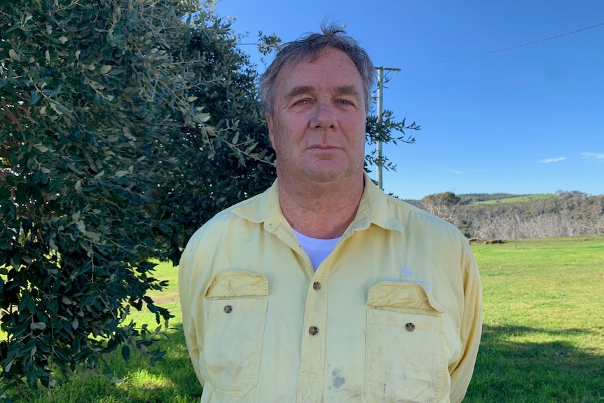 A man in a yellow shirt stands directly in front of camera. 