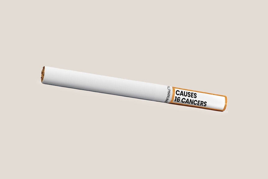 what does a cigarette look like Are Cigarettes? How to make your own