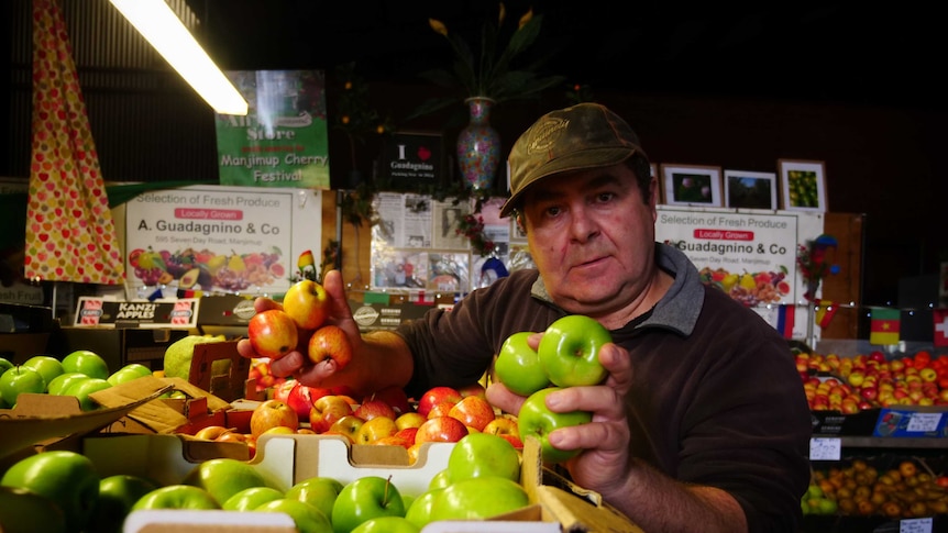 Ray Guadagnino in his Manjimup packing shed, September 2020.