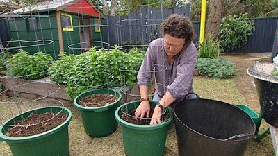 Planting for Summer - Gardening Australia