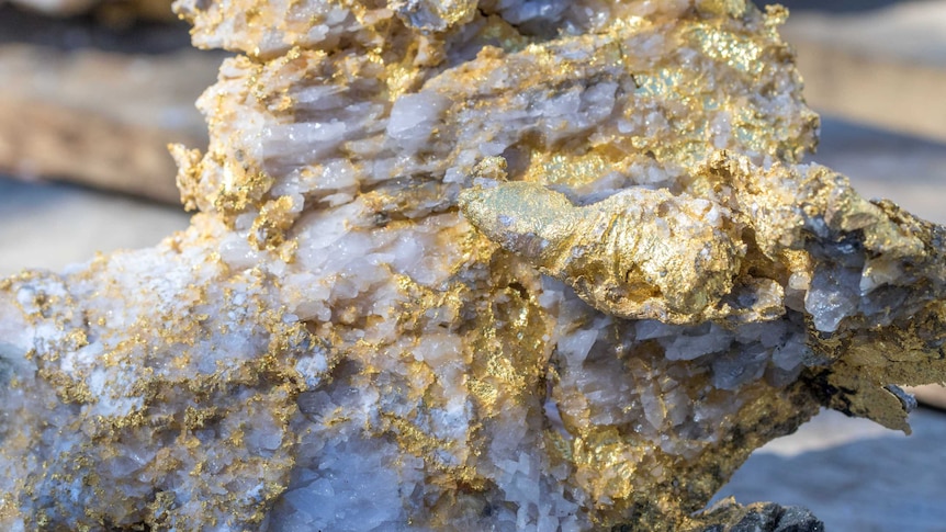 Gold covered quartz rocks