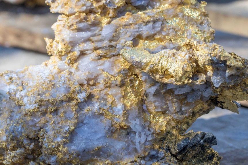Gold covered quartz rocks