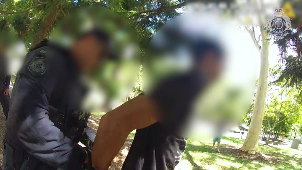 Police have arrested two brothers in connection with an alleged ...