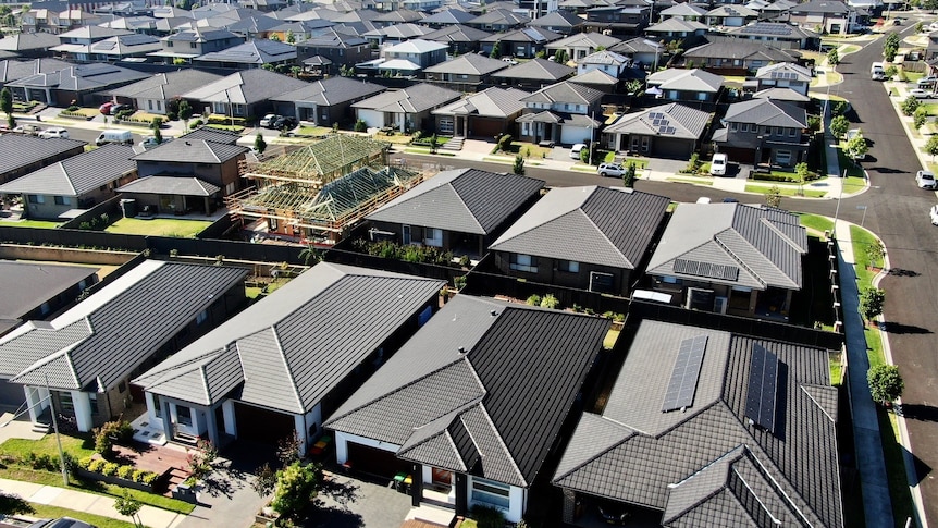 a skyline with houses