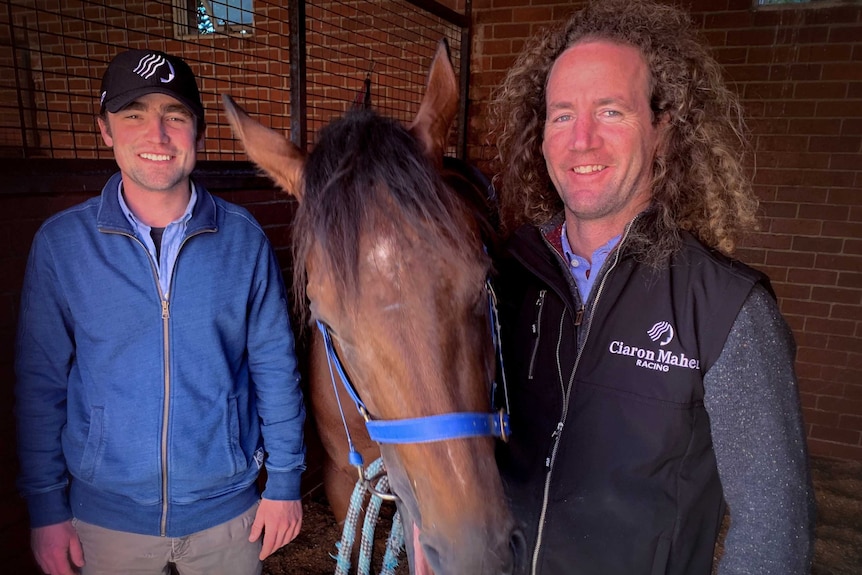 Two smiling men stand in a stables with a horse between them.