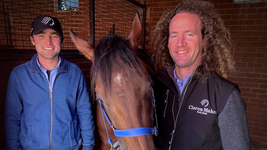 Two smiling men stand in a stables with a horse between them.