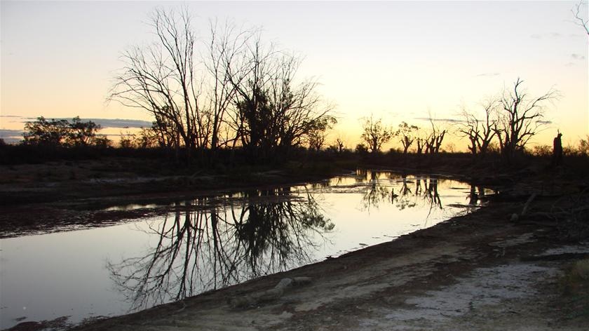 Trees are reflected in the Murray River near Renmark in South Australia in June 2010.