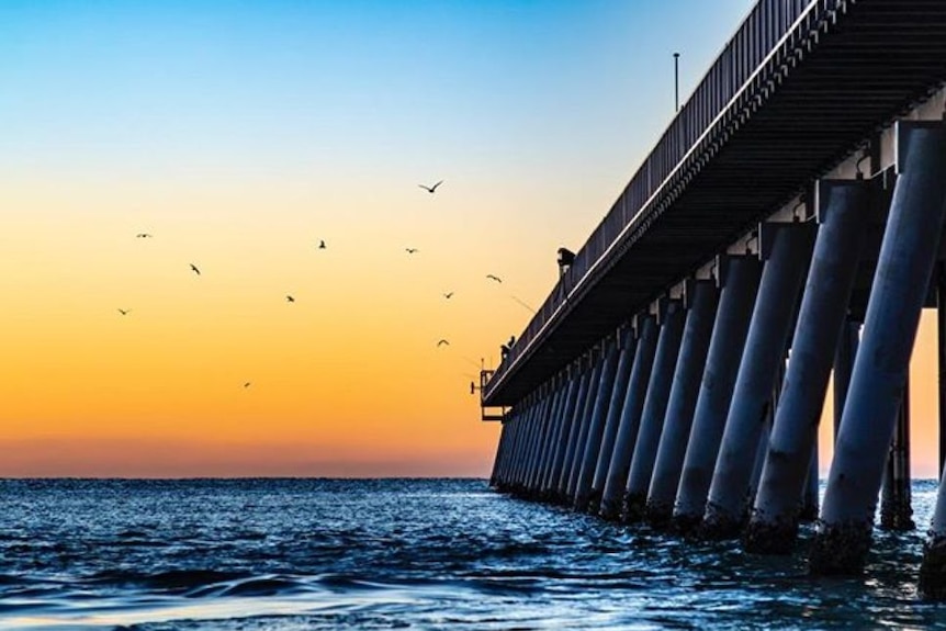 Gold Coast Sand Bypass System jetty at sunrise