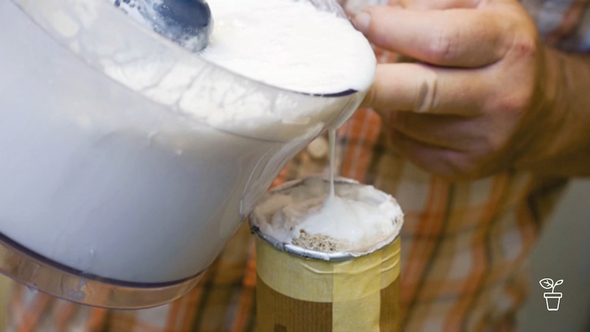 White frothy liquid being poured from food processor into a tubed container