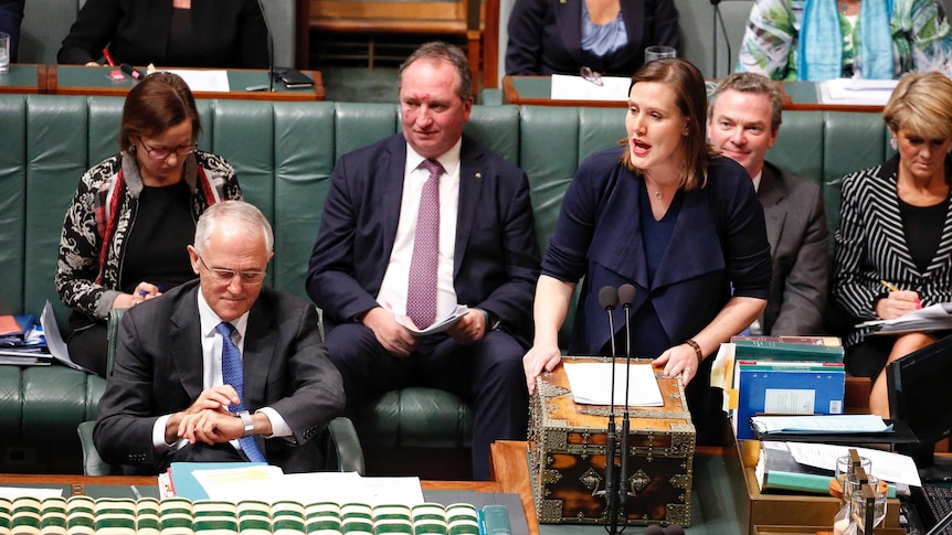 Kelly O'Dwyer speaks during Question Time