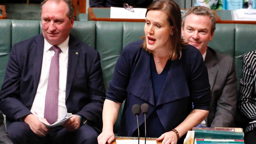 Minister Kelly O'Dwyer speaks during Question Time in Federal Parliament.
