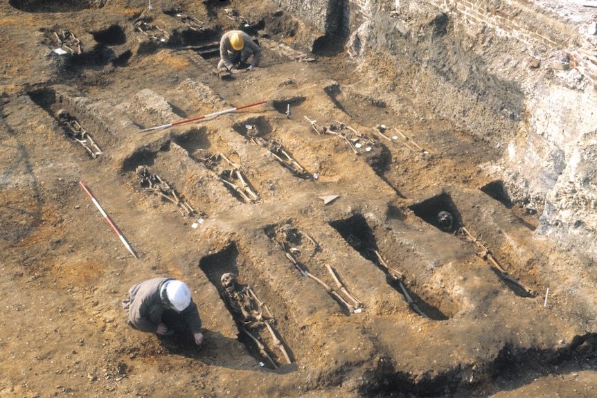 Archaeologists exacavating multiple grave sites at a plague pit