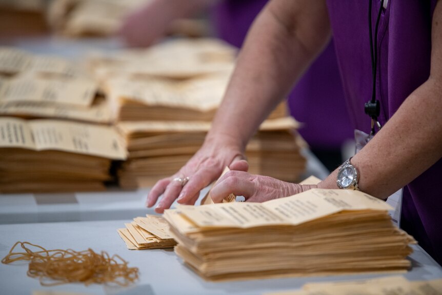 A close up of a woman's hands with a stack of ballot papers next to her, with a lot of elastic bands near by.