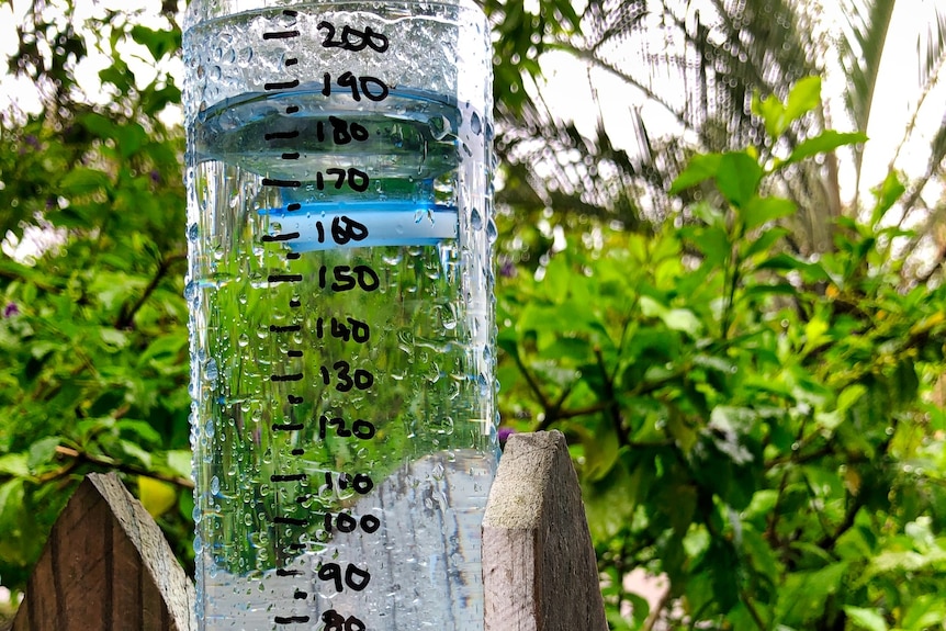 This rain gauge got 190mm in 24 hours in North Ward.