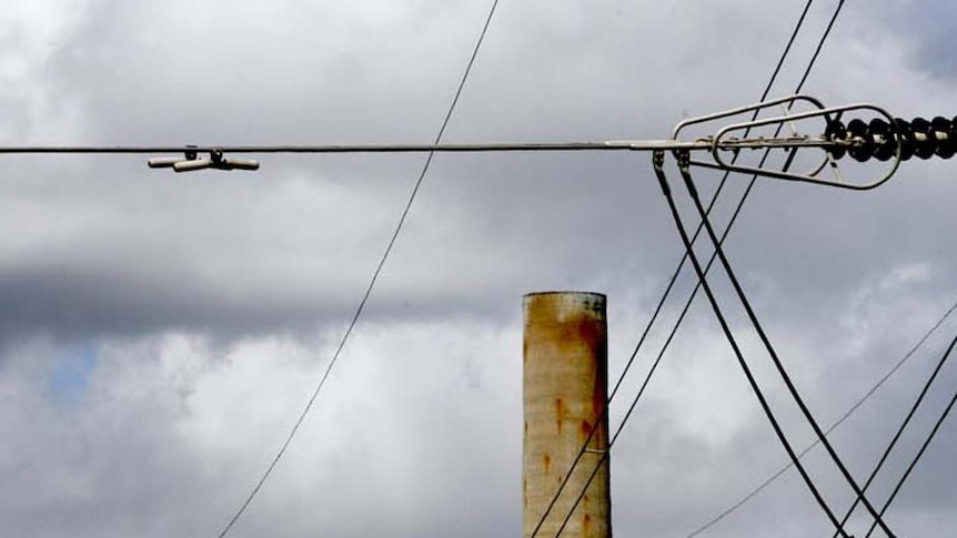 The NSW Greens say the fight to shutdown coal fired plants, including the Hunter's Liddell power station, will continue.