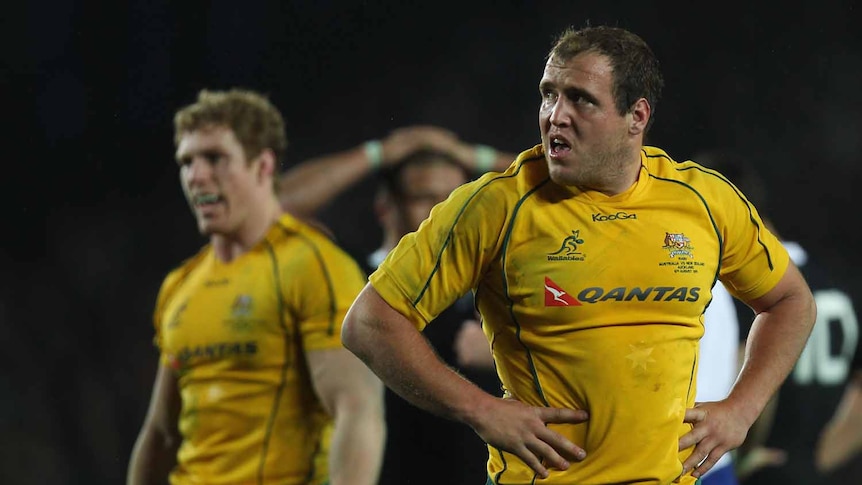 Ben Alexander says a win in South Africa would help the Wallabies regain momentum lost in Australia's 30-14 loss to the All Blacks.