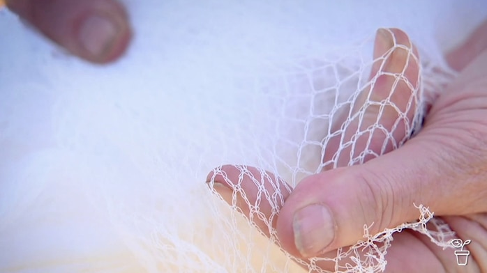 Fingers holding out tree netting to show the size of the holes