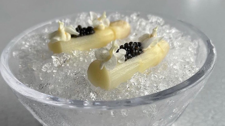 two spears of white asparagus lay on a bed of ice piled with caviar