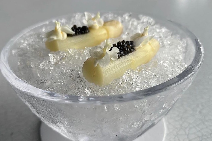 two spears of white asparagus lay on a bed of ice piled with caviar