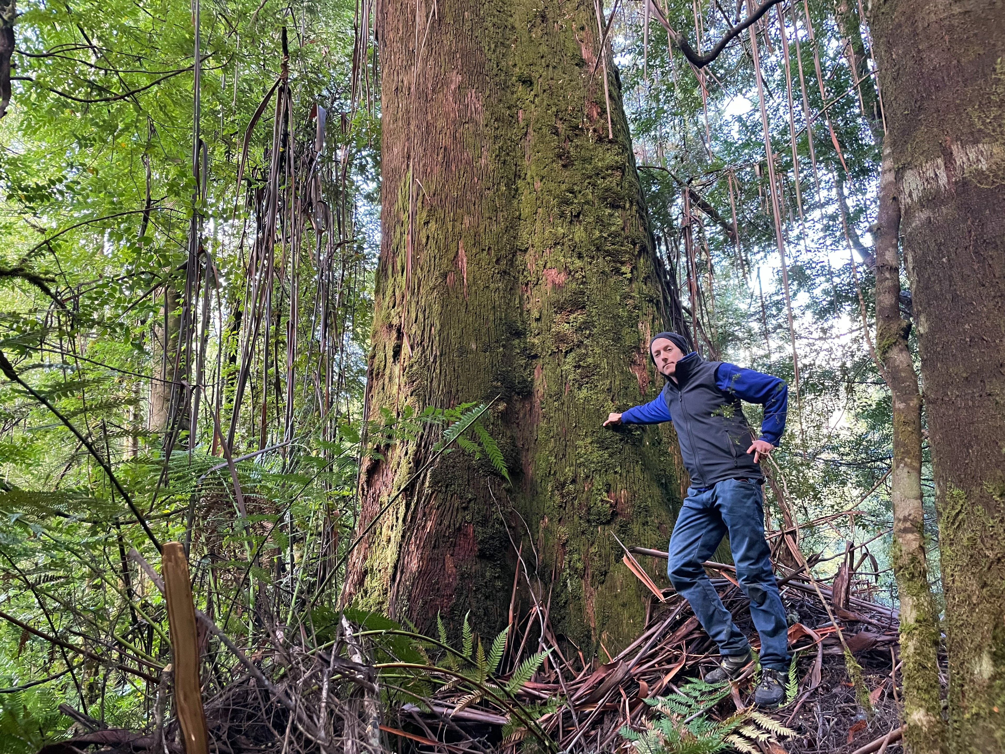 Man stands leaning on tree.