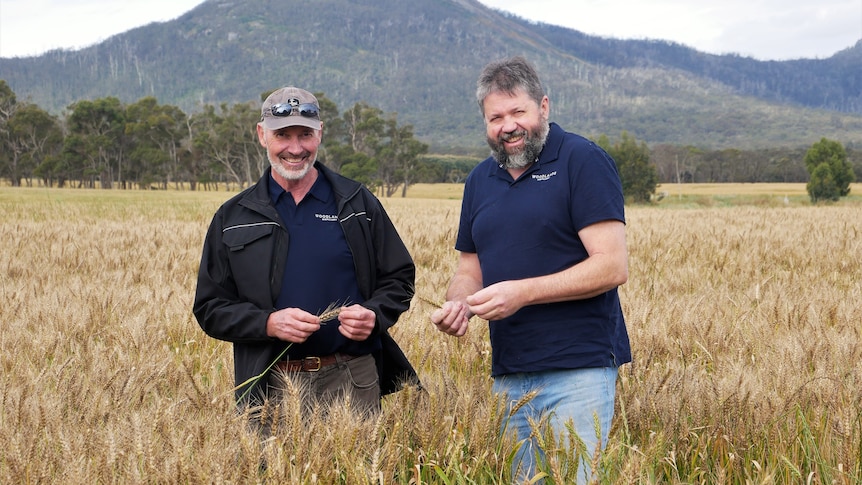 Two men stand facing camera in a paddock of crops with mountain in background