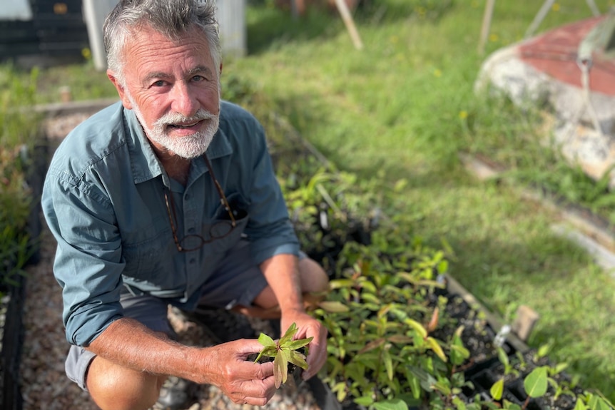 Smiling man bends down next to potted plant