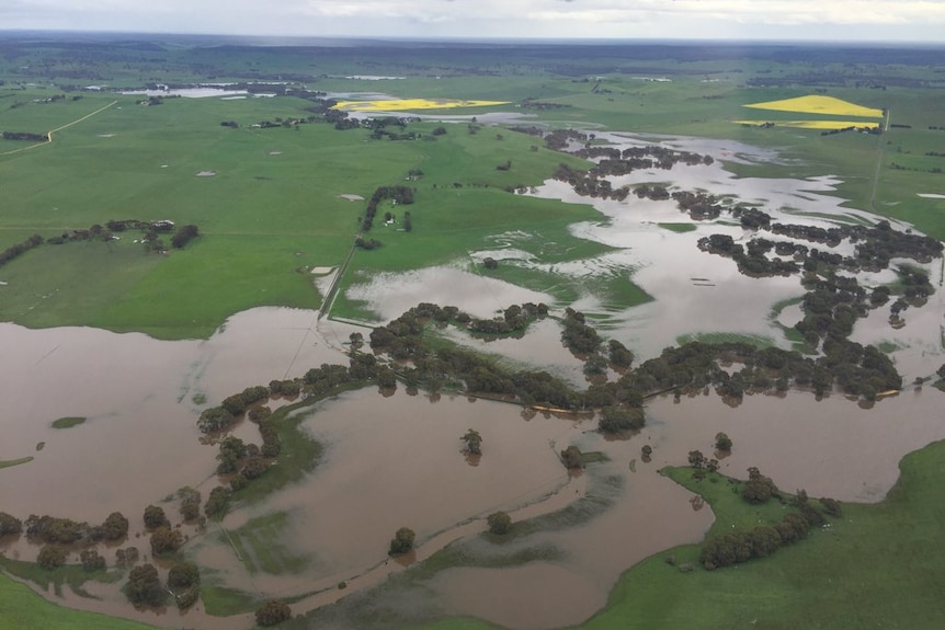 An aerial view of floods between Casterton and Coleraine