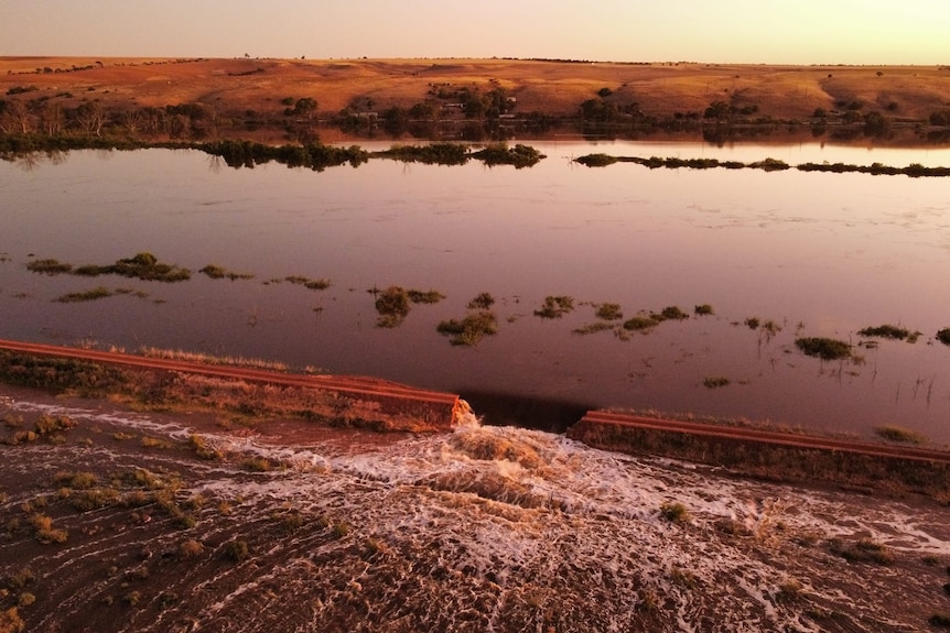 levy breach in foreground showing gushing water from River Murray