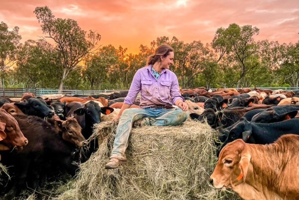 A woman sits on a hay bale, surrounded by cattle, at sunset.