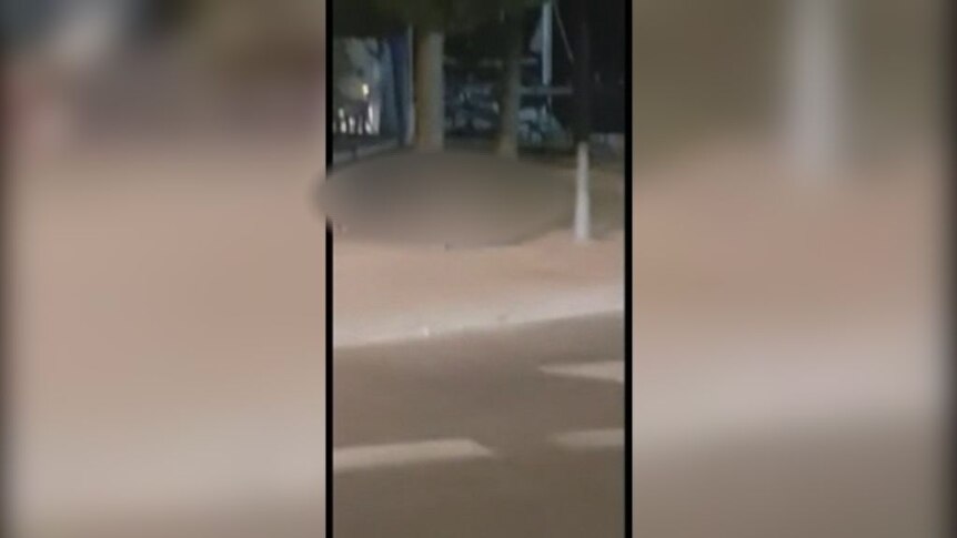 Police shot four of the attackers dead and left another injured in Cambrils.