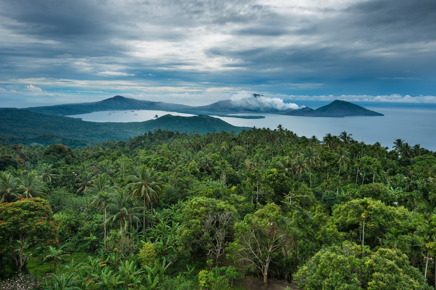 A Malmaluan viewpoint of Rabaul Bay, Matupit Island, Papua New Guinea. There is dense palm tree-lined forest and ocean