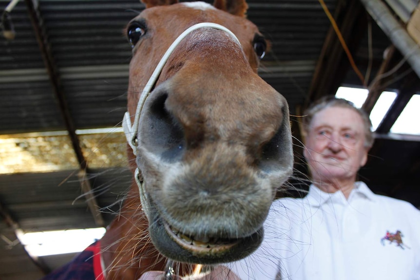 David and his horse Steven in the stables