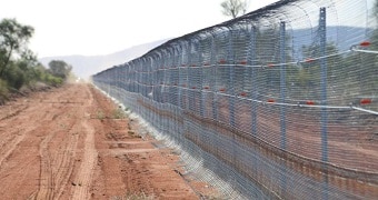 Cat fence