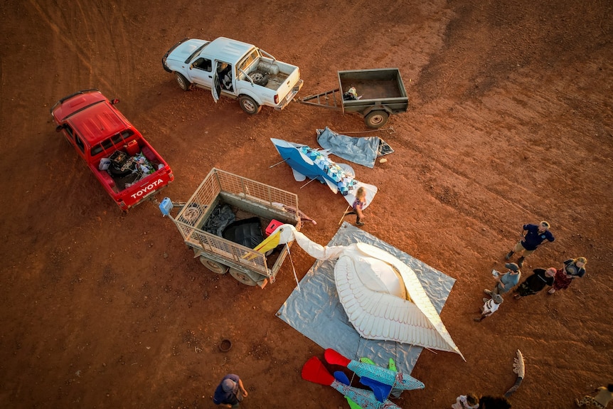 A big white bird lies on a trailer, with cars and people showing its large size