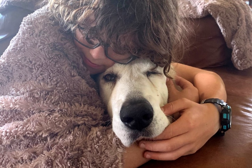 A curly-haired 11-year-old boy wraps his maremma Gertie up in a blanket on the couch.