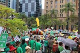 Thousands gather in Queen's Park for a climate action rally through Brisbane.