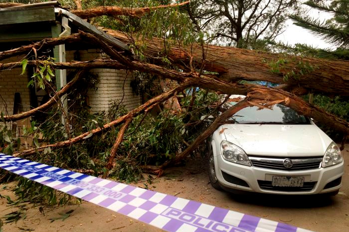 A large fallen tree hits a white car and family home, with police tape cordoning off the area.