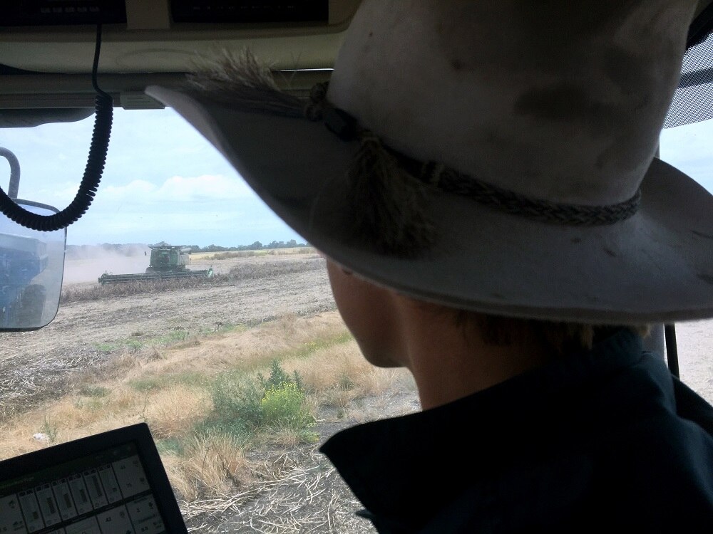 Harvest gives Naracoorte teen a reason to stay in school ABC News