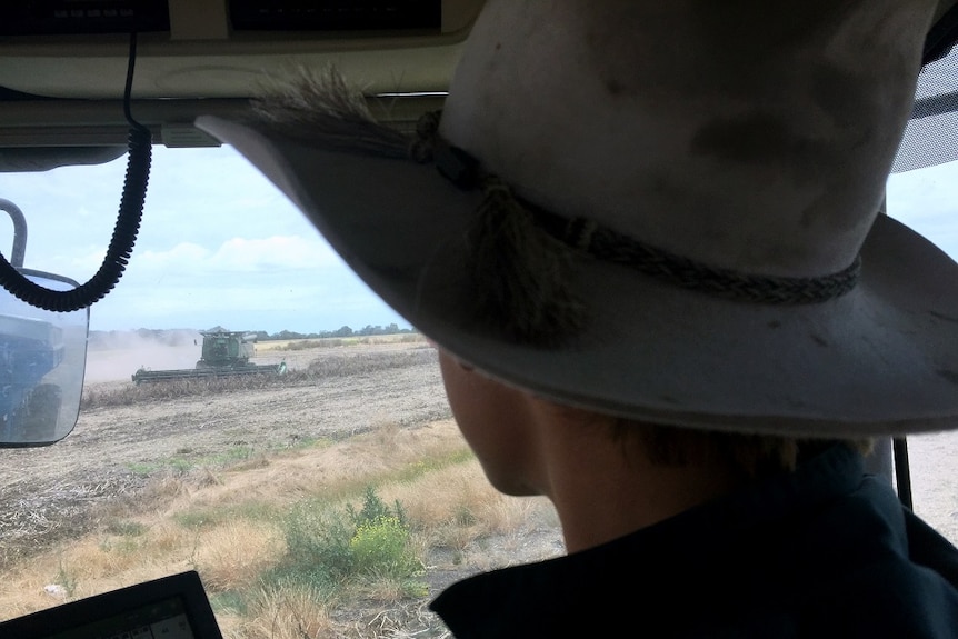 A close up shot from behind of a teen wearing an Akubra-type hat, sitting in a harvester.