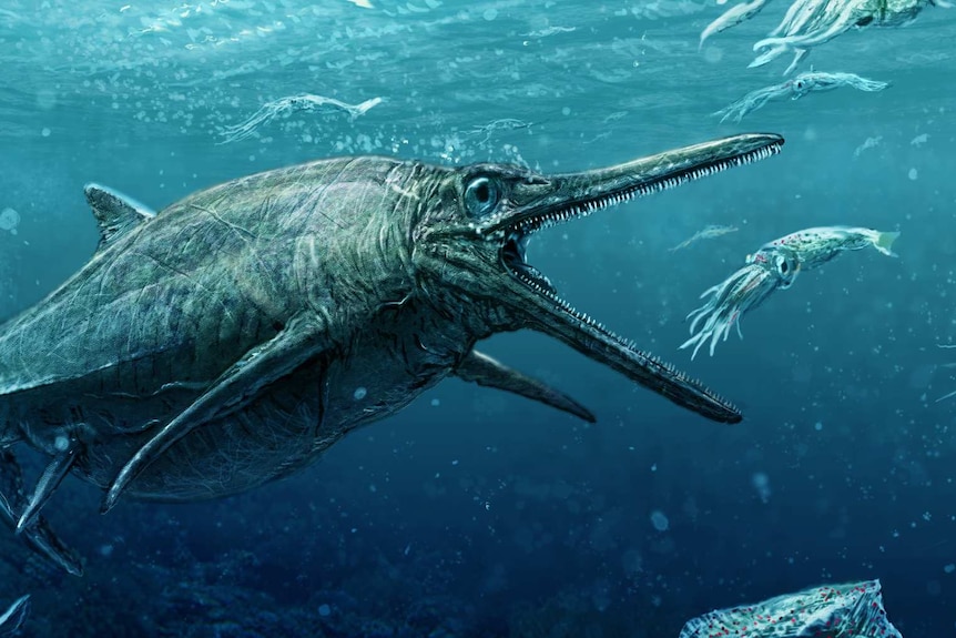 Ichthyosaur drawing