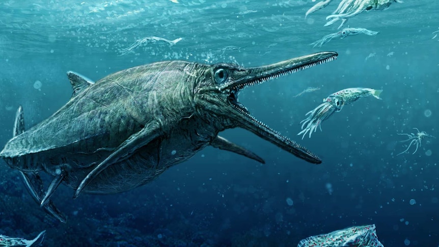 An artist's impression of an ichthyosaur