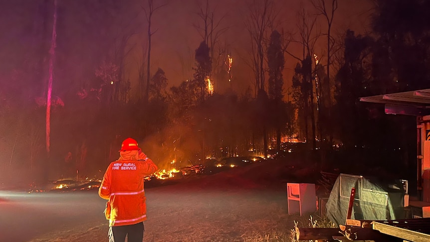 a darkened tree line dotted with fire rages before a firefighter facing the blaze 