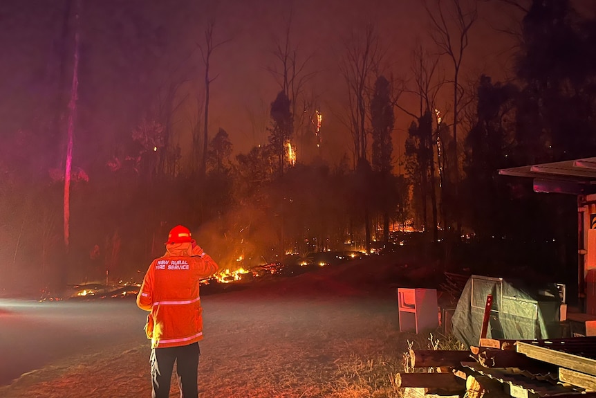 a darkened tree line dotted with fire rages before a firefighter facing the blaze 