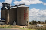 A grain silo in the Liverpool Plains painted with a sign that reads 'Farms not coal'.