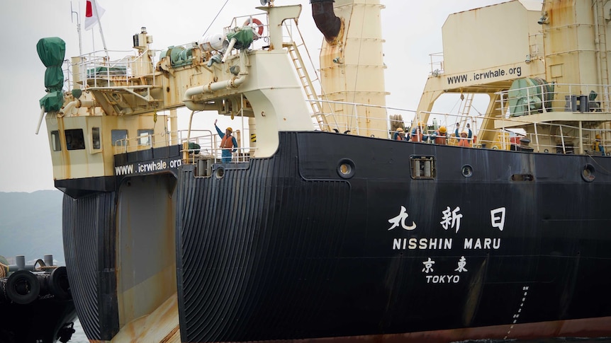 Men wave on board a ship marked "Nisshin Maru"